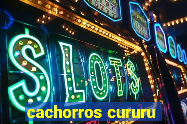 cachorros cururu